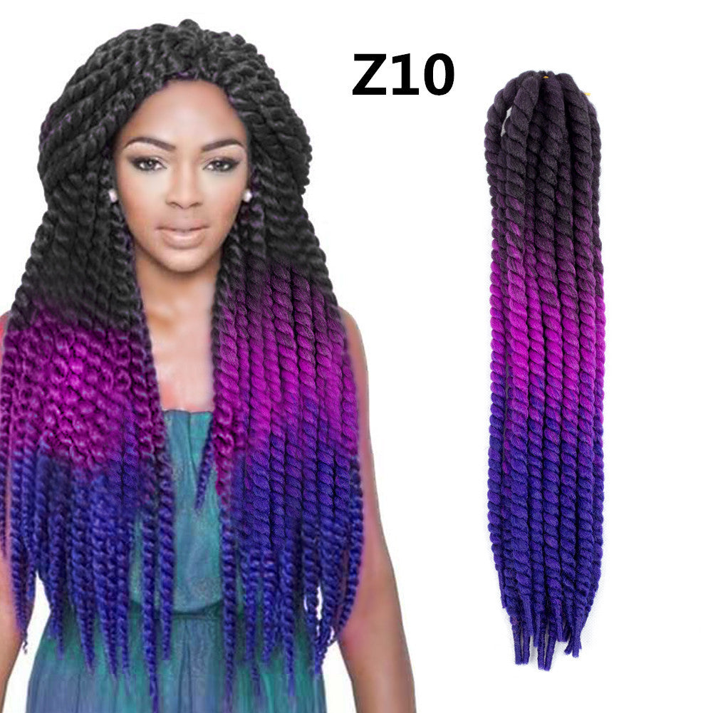 Spring Braid Wig 22 Inches